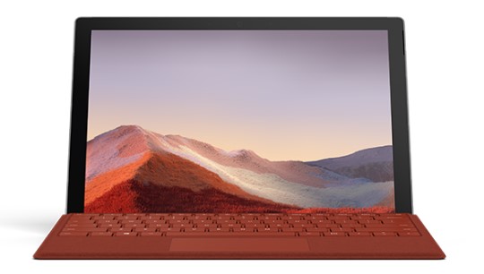 龙门镇清洁和维护 Surface